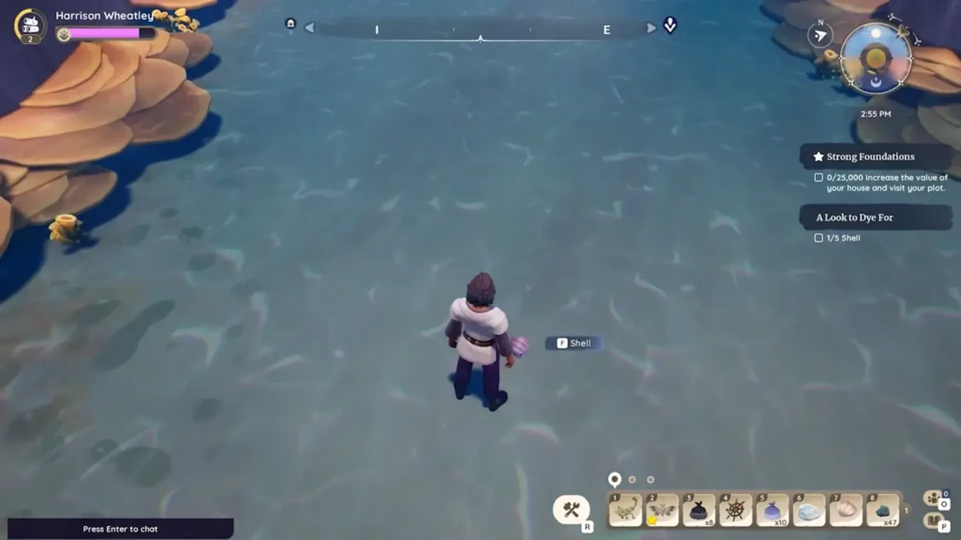 Where To Find Shells in Palia