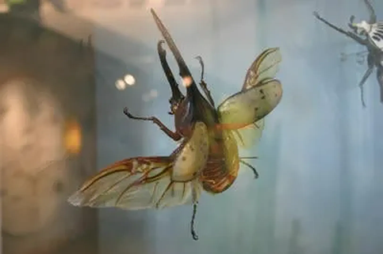 The Backrooms: All Creatures and Entities