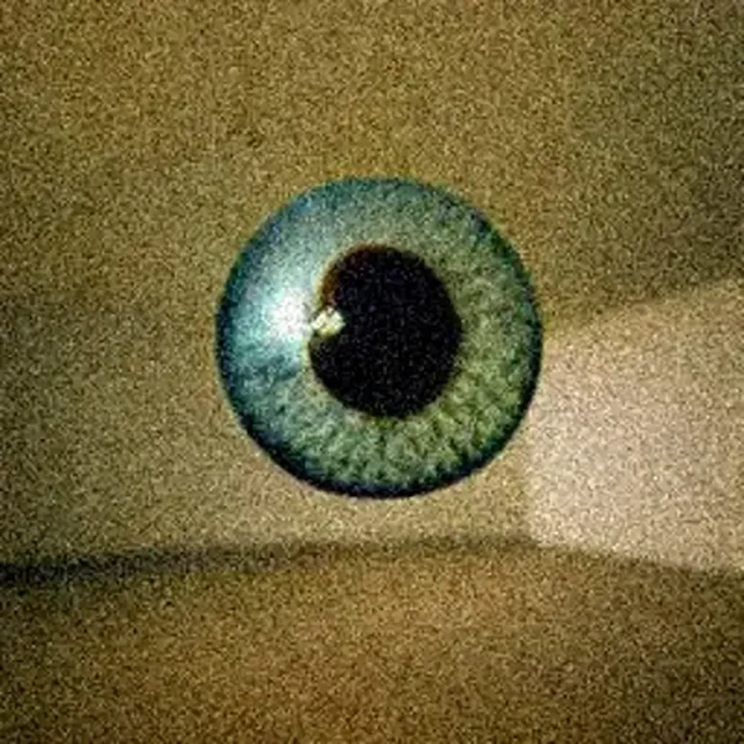 The Backrooms: All Creatures and Entities