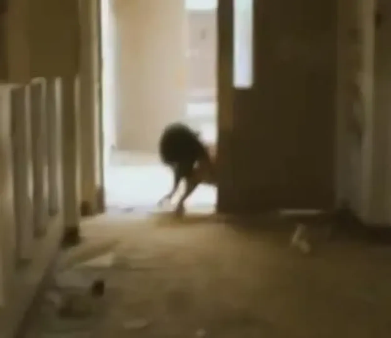 The Backrooms: All Creatures and Entities