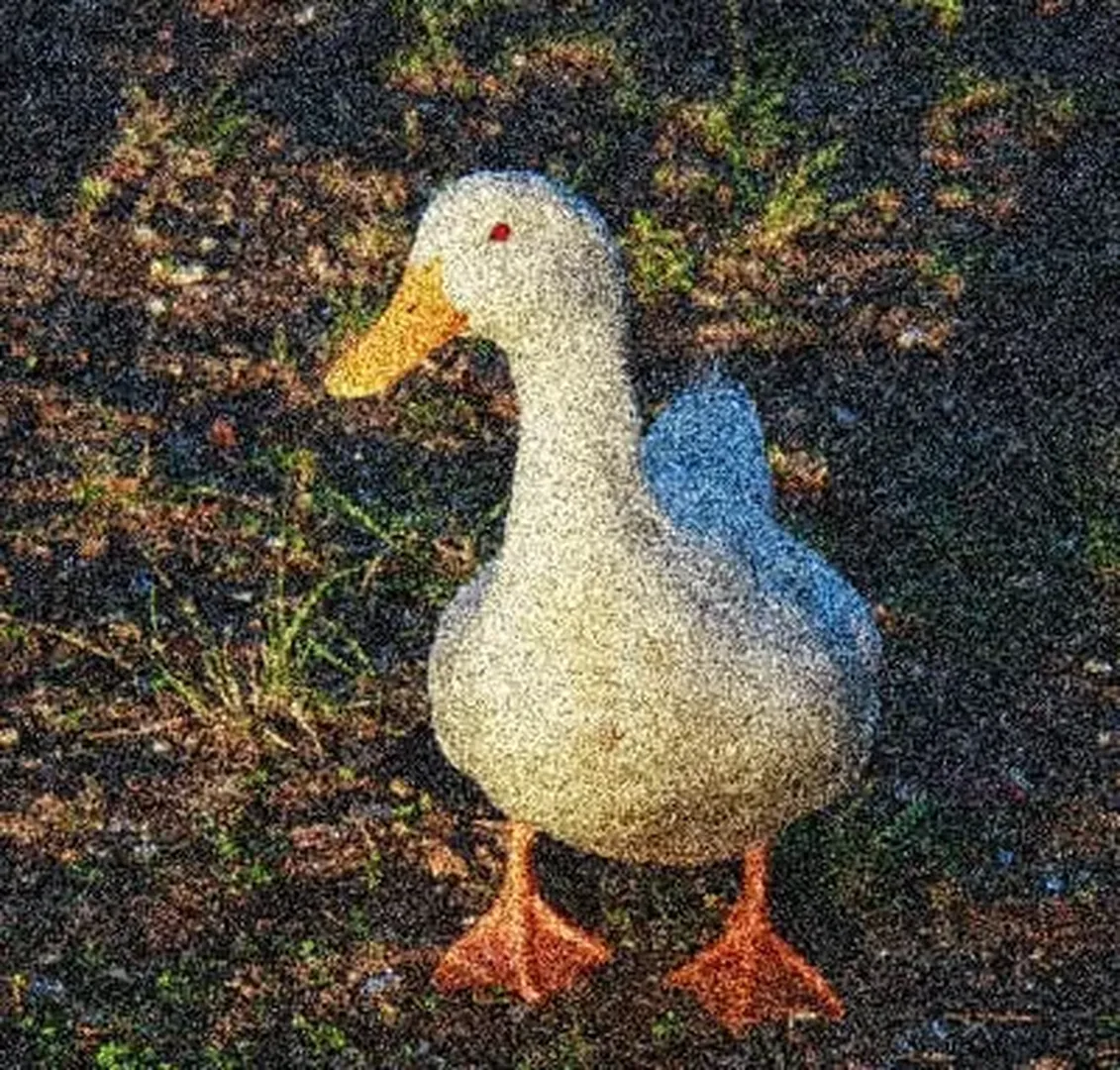 The Backrooms: All Creatures and Entities