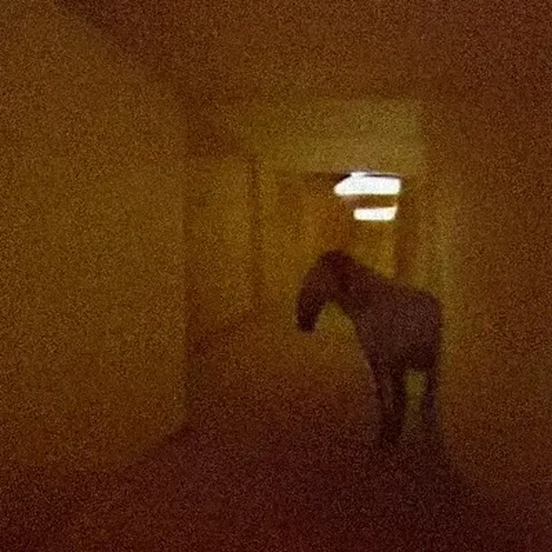 The Backrooms: All Creatures and Entities