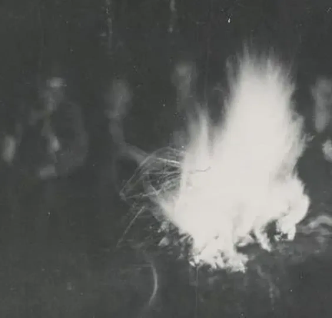 The Backrooms: All Creatures and Entities