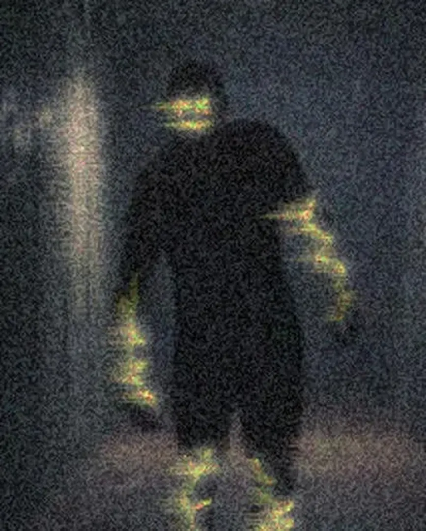 The Backrooms: All Creatures and Entities