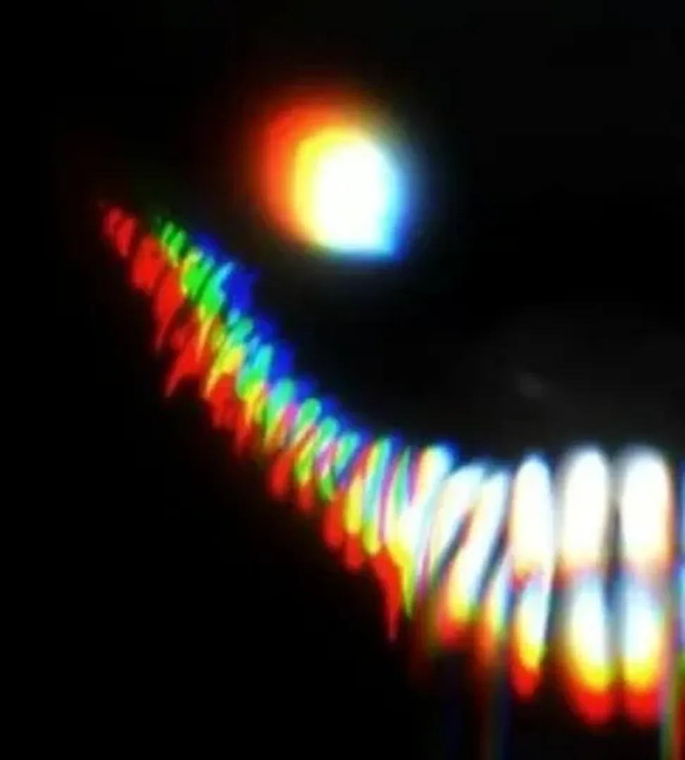 The Backrooms: All Creatures and Entities