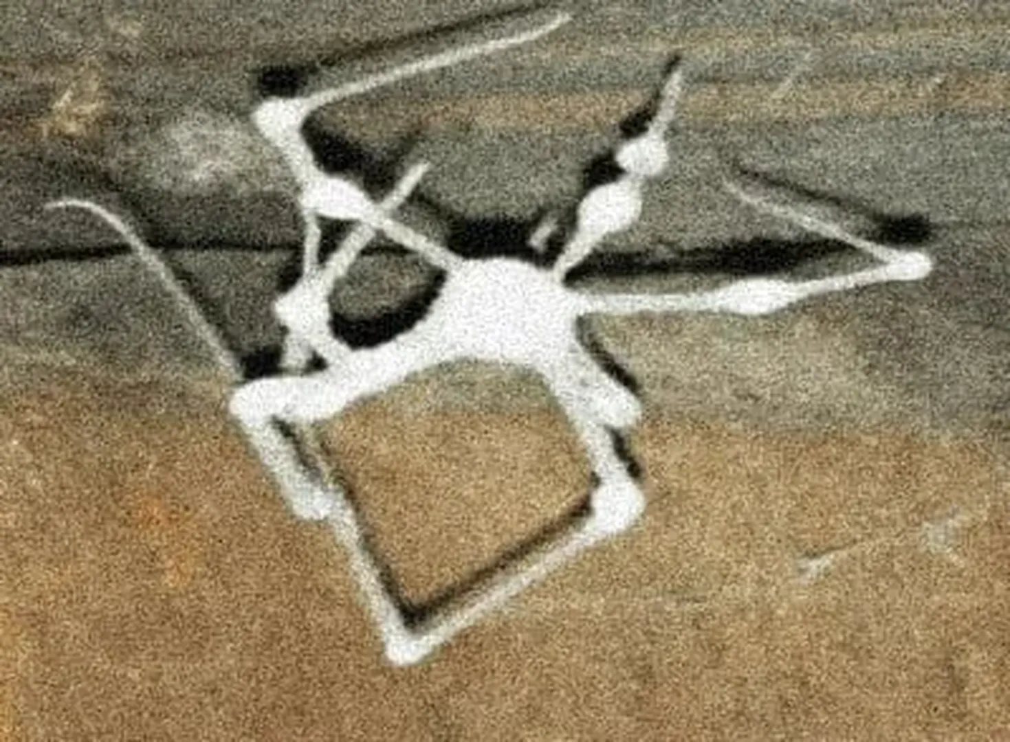 The Backrooms: All Creatures and Entities