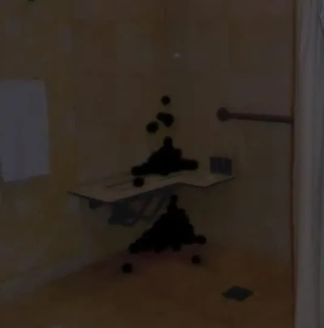 The Backrooms: All Creatures and Entities