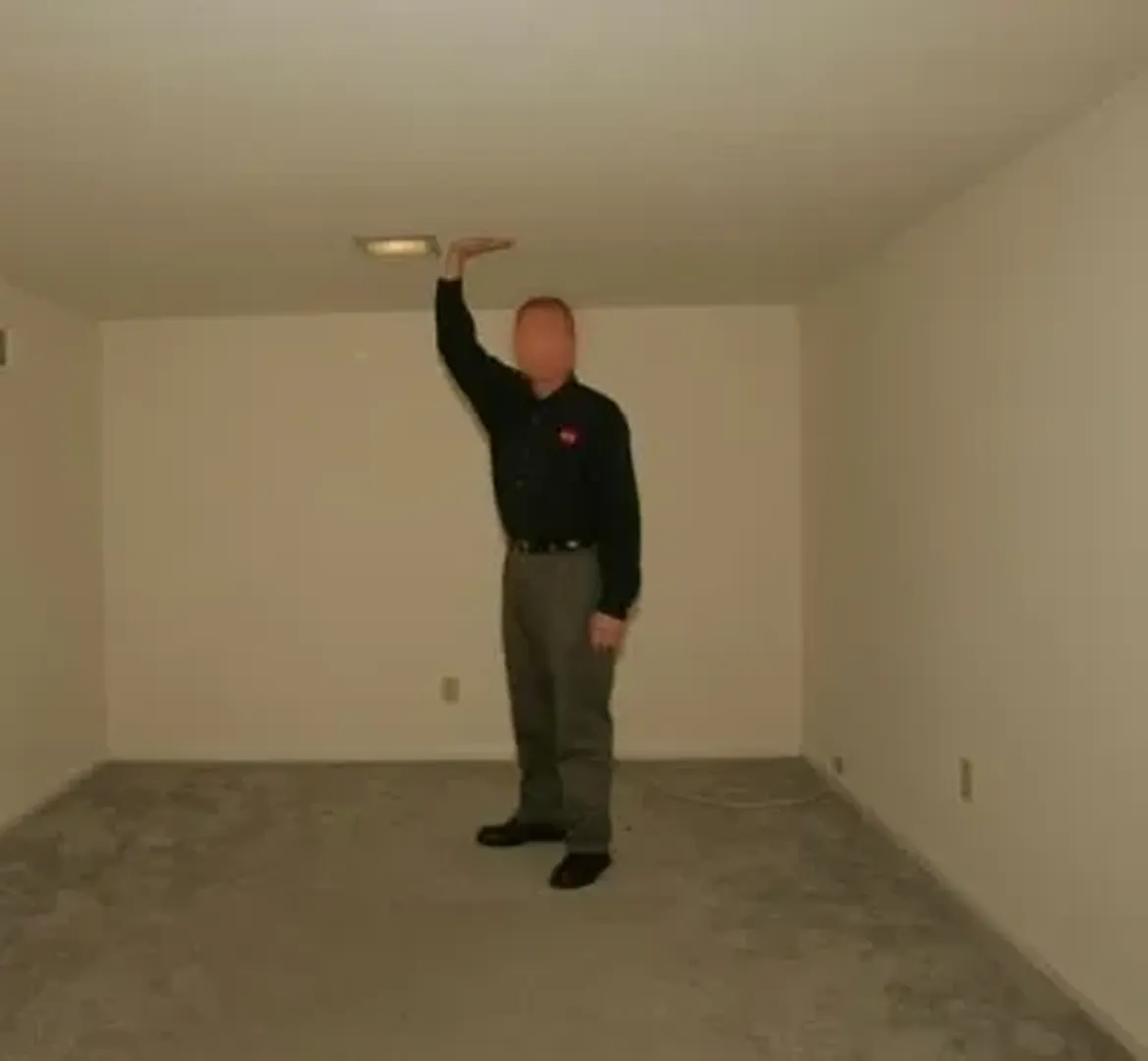 The Backrooms: All Creatures and Entities