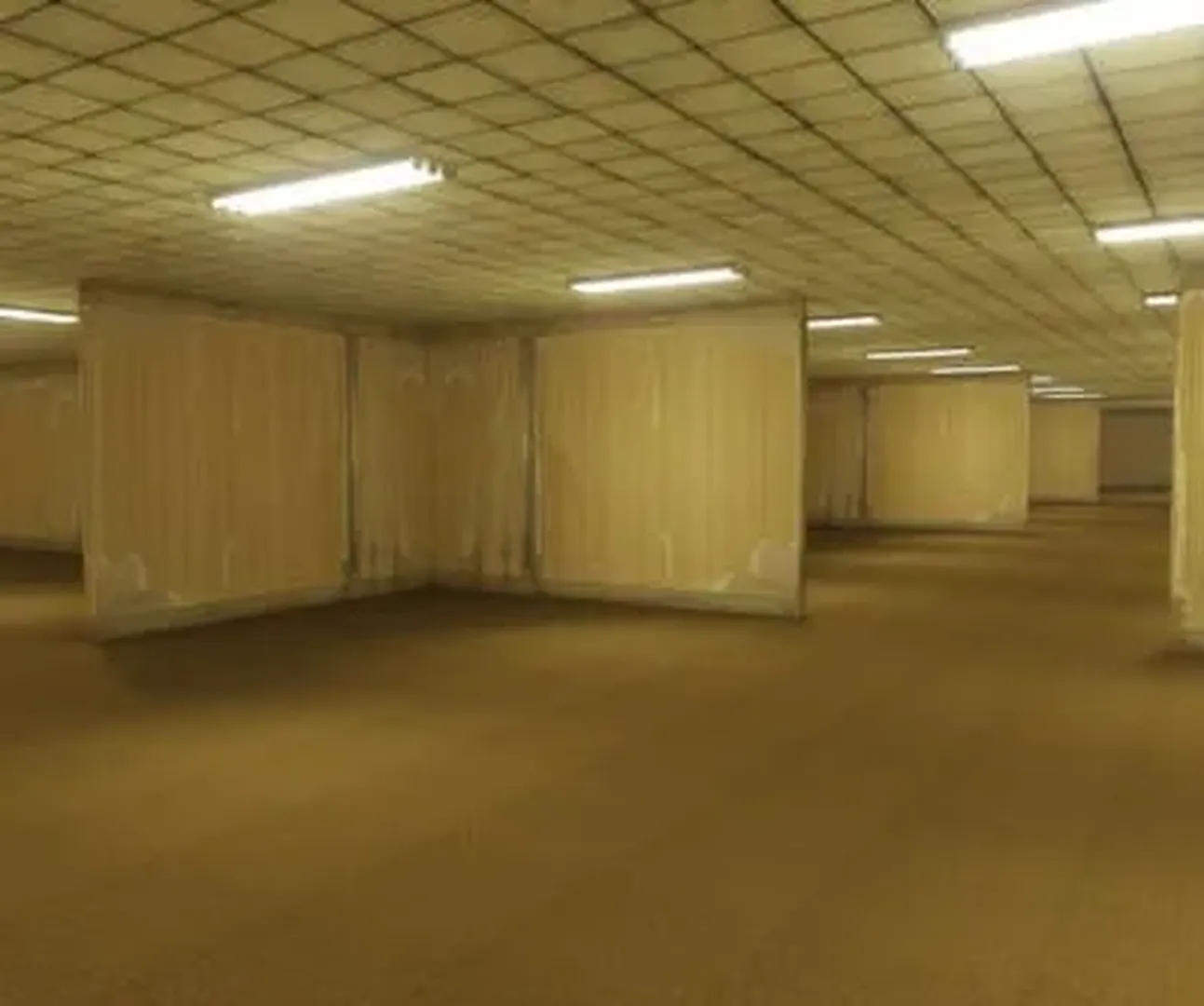 The Backrooms: All Creatures and Entities